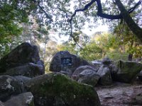 2016-10-09 Les gorges d Apremont 0003